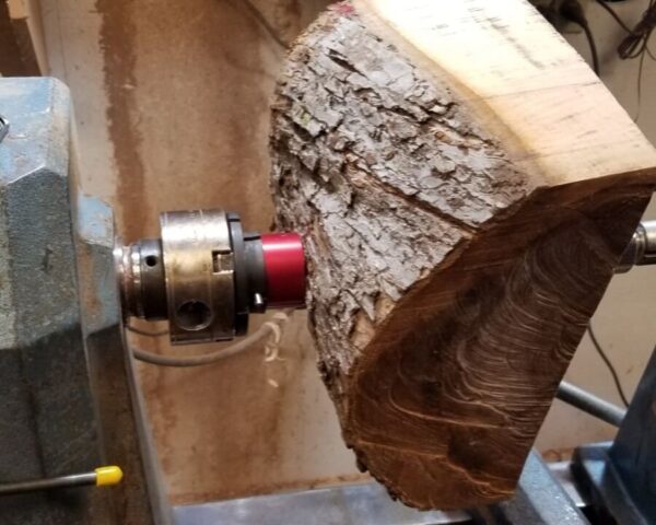 Bellgereen Wood - Spike Drive for wood lathe.